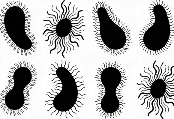 Download Black Amoeba Cell Clipart Set - Cell clipart Collection